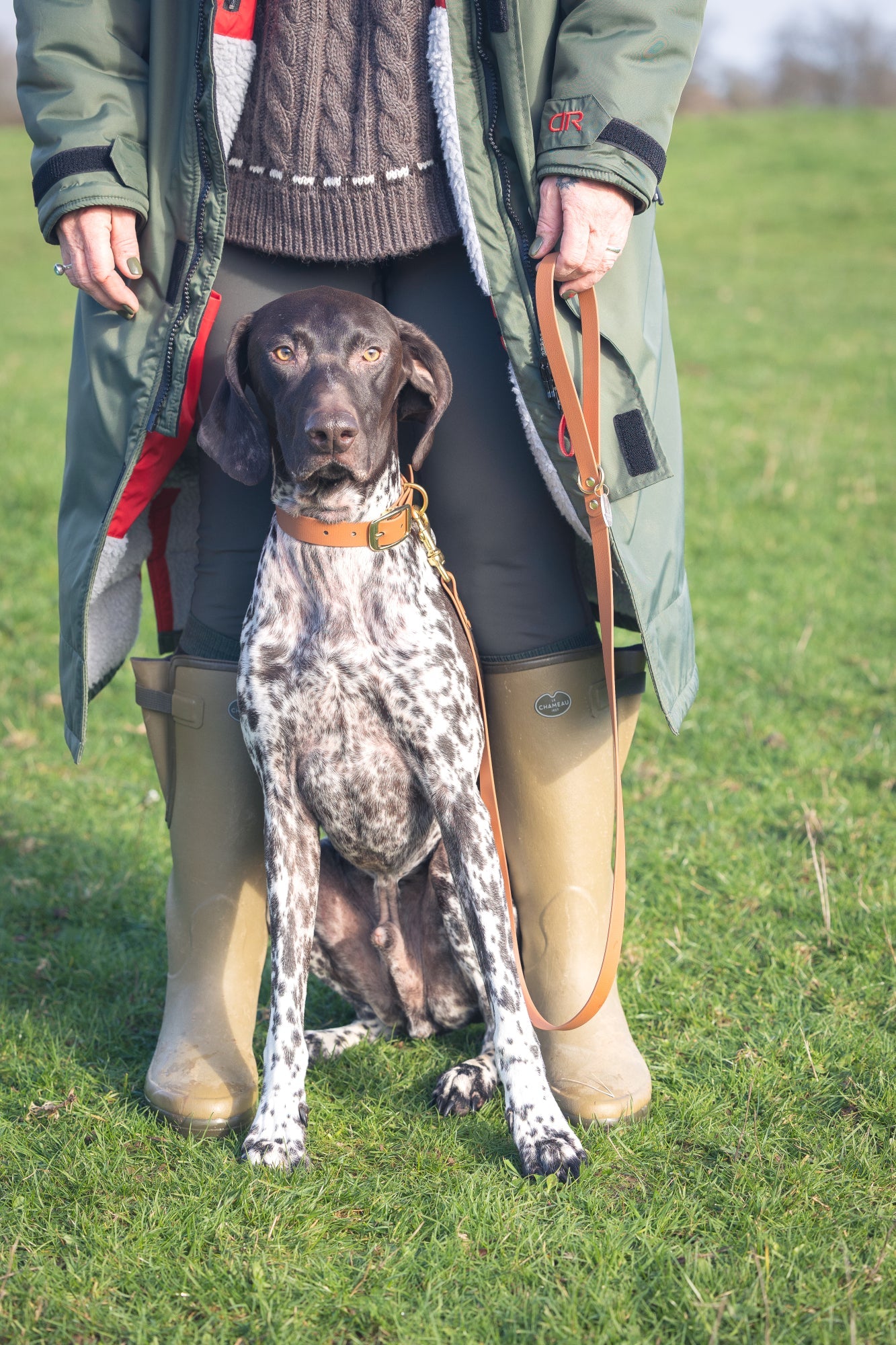 Tan BioThane® Dog Collar